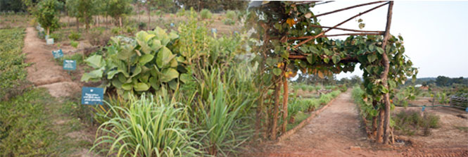 Our Heritage, Our Pride