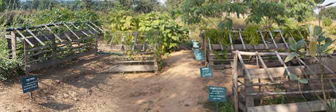 Heritage is our future