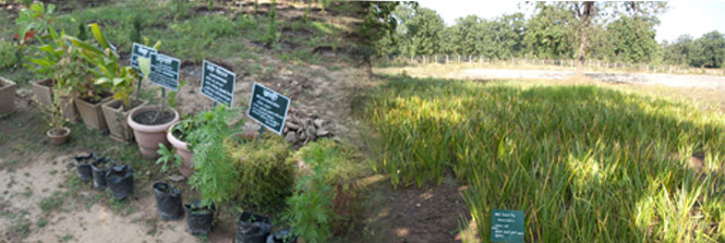 Save Earth, Save Future